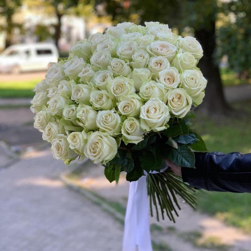 51 белая длинная роза