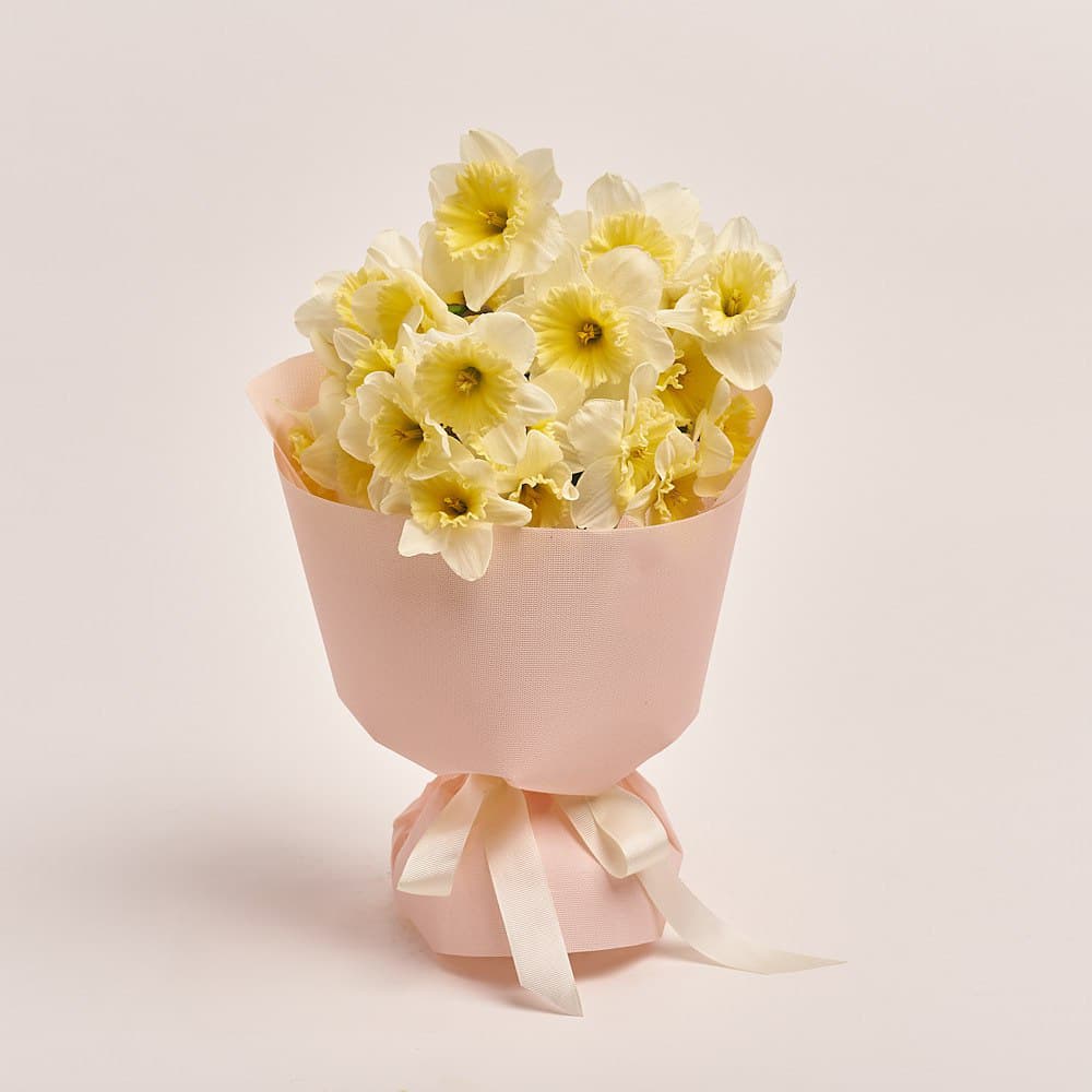 Букет 25 Кремовых Нарцисcов