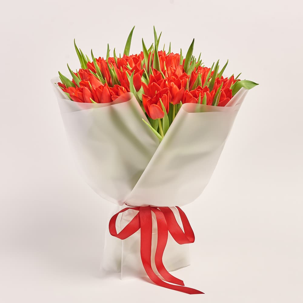 Букет 51 красный Тюльпан Классика